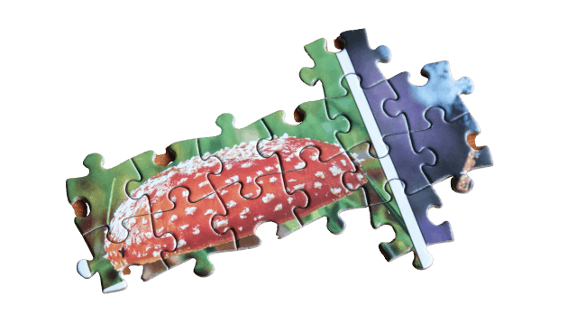 The Jigzone Guide to Being a Pro at Jigsaw Puzzles: Use our Jig-saw Puzzle Strategies, Tips, & Hints to Make Your Next Jigsaw Puzzle the Most Fun One Yet! The Jigzone Guide to Being a Pro at Jigsaw Puzzles: Use our Jig-saw Puzzle Strategies, Tips, & Hints to Make Your Next Jigsaw Puzzle the Most Fun One Yet!